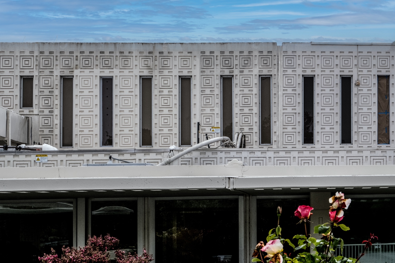 Rooftop Wall photo 3