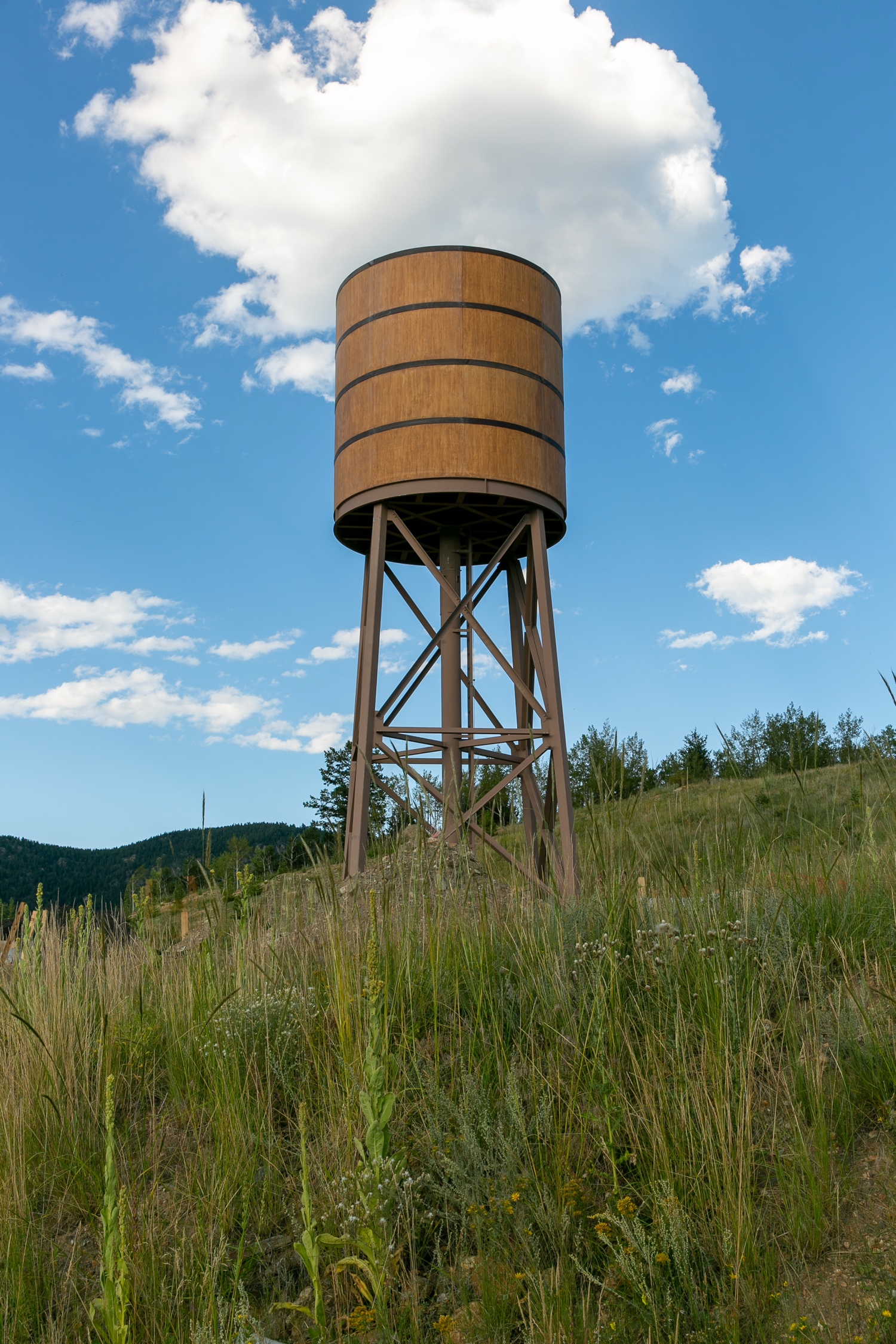 Water Tower photo 2