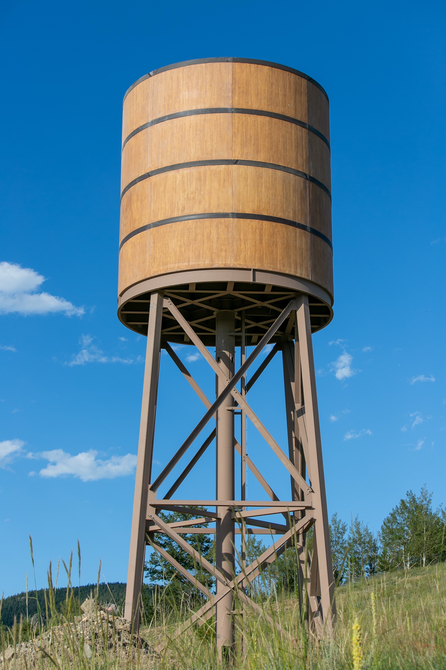 Water Tower photo 3
