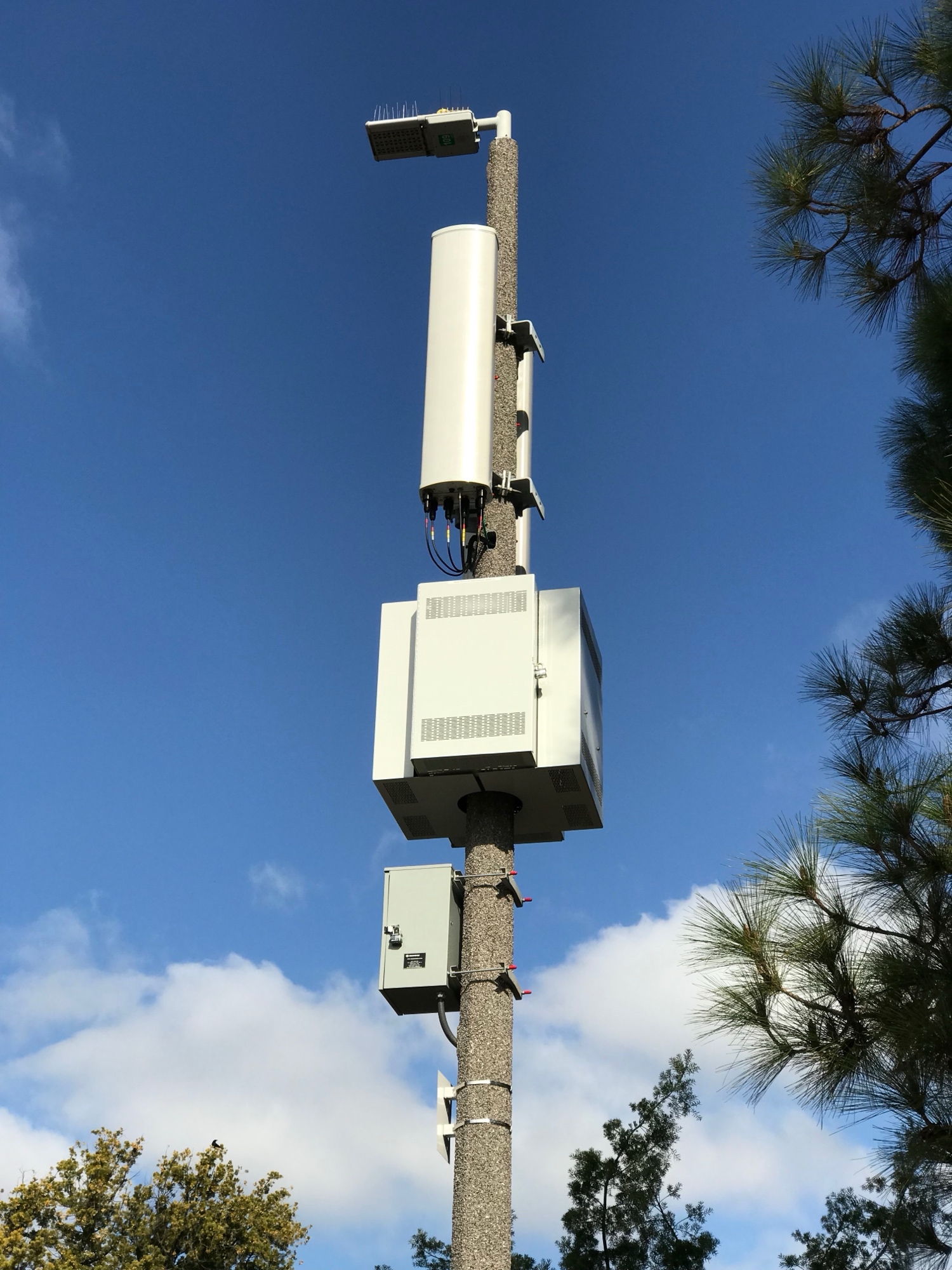 Small Cell | Light photo 3