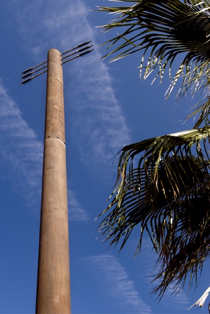 Slimline/Flagpole photo 4