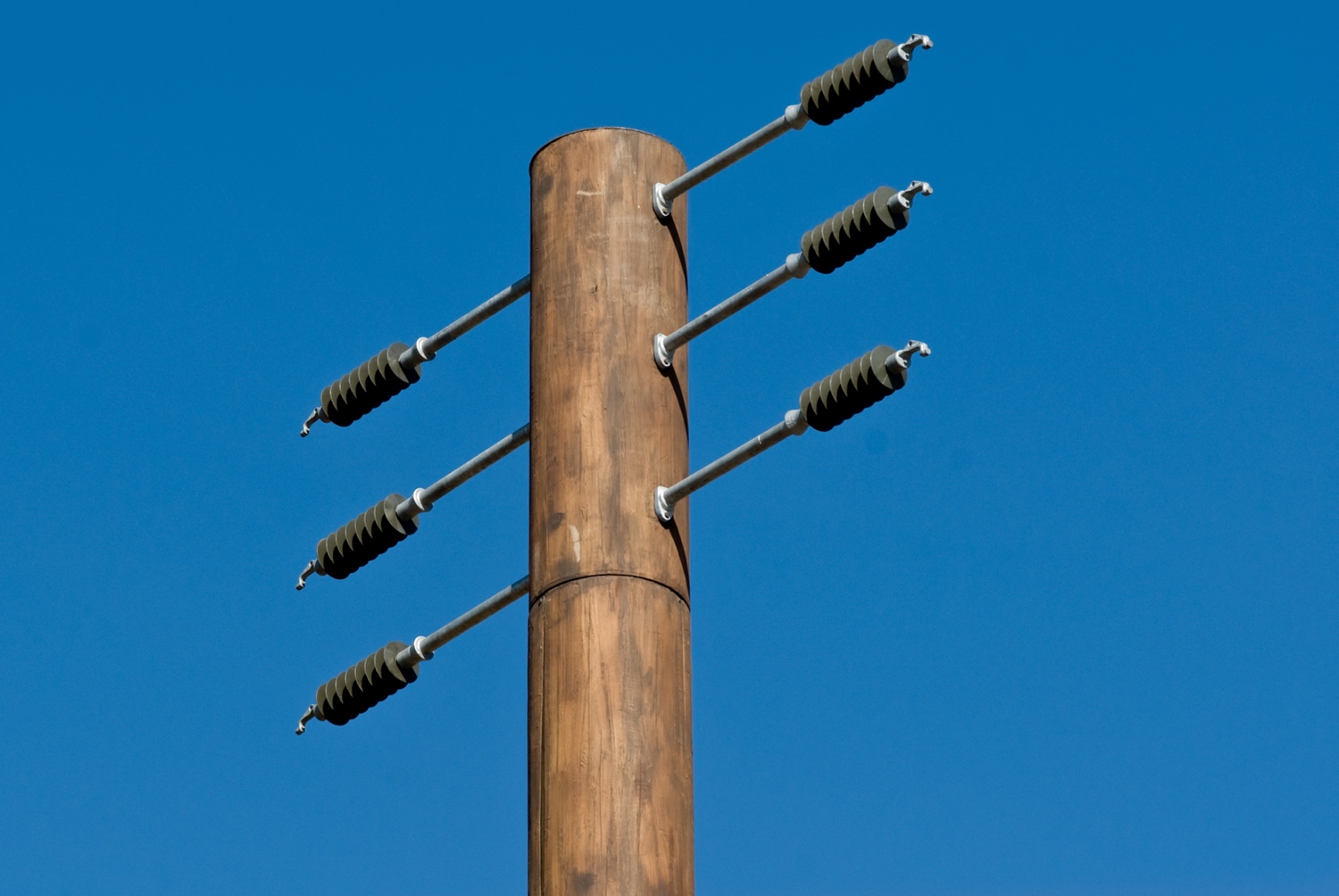 Slimline/Flagpole photo 2