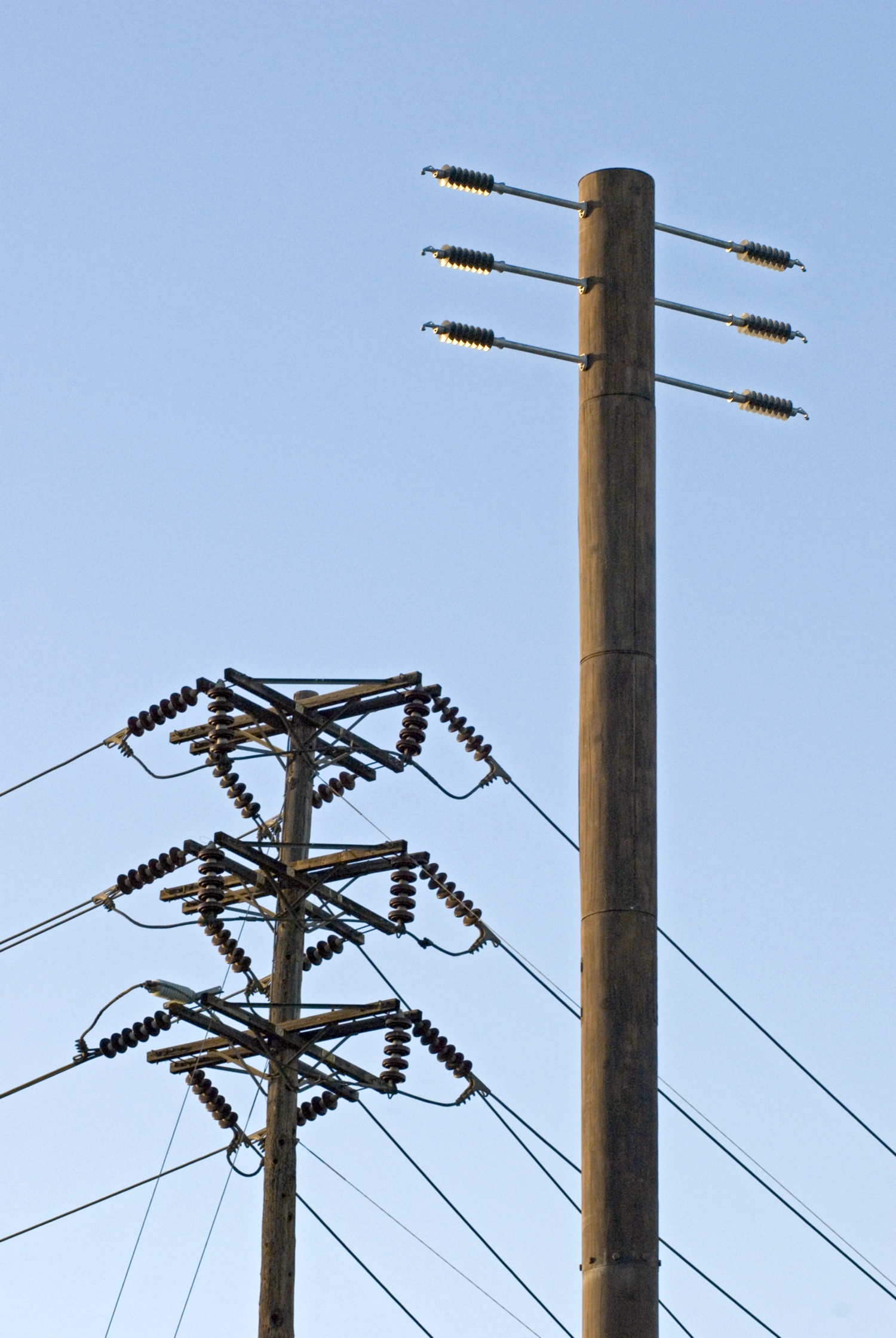 Slimline/Flagpole photo 3