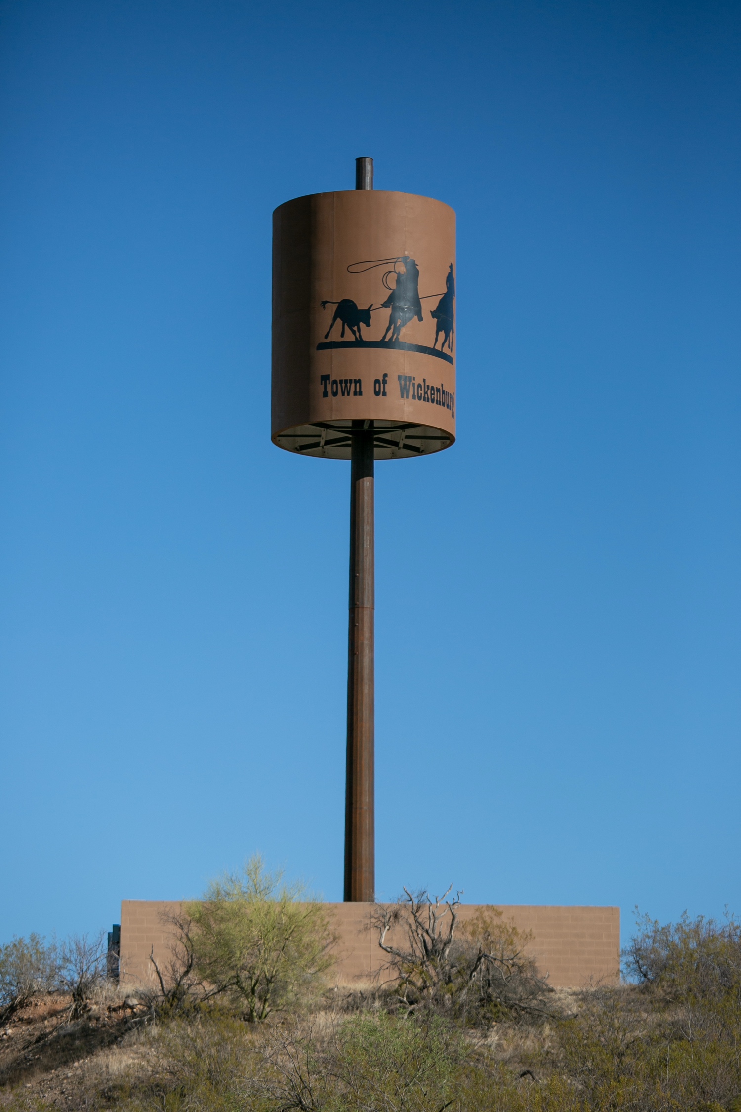 Lampshade photo 1
