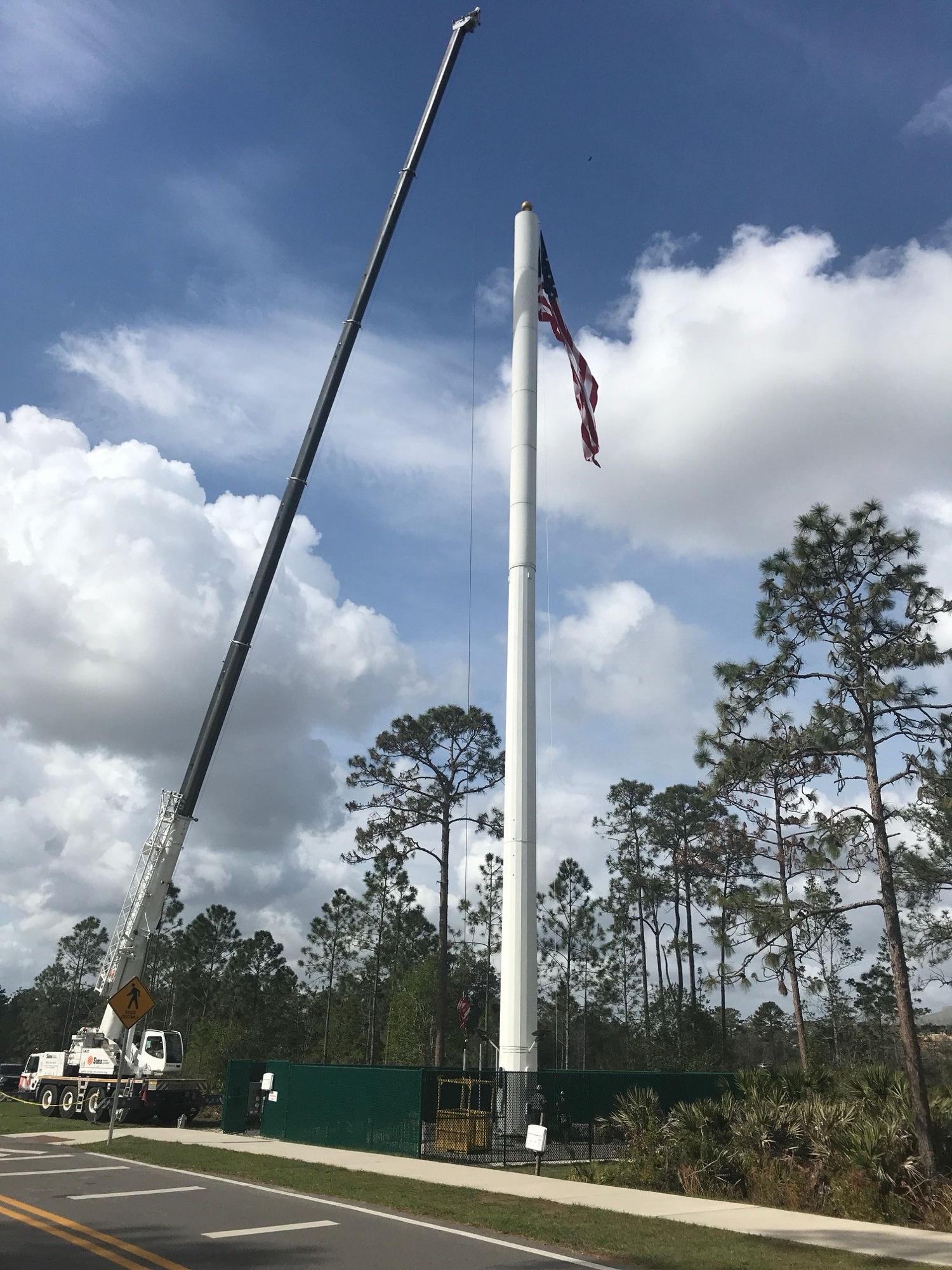 Slimline/Flagpole photo 2