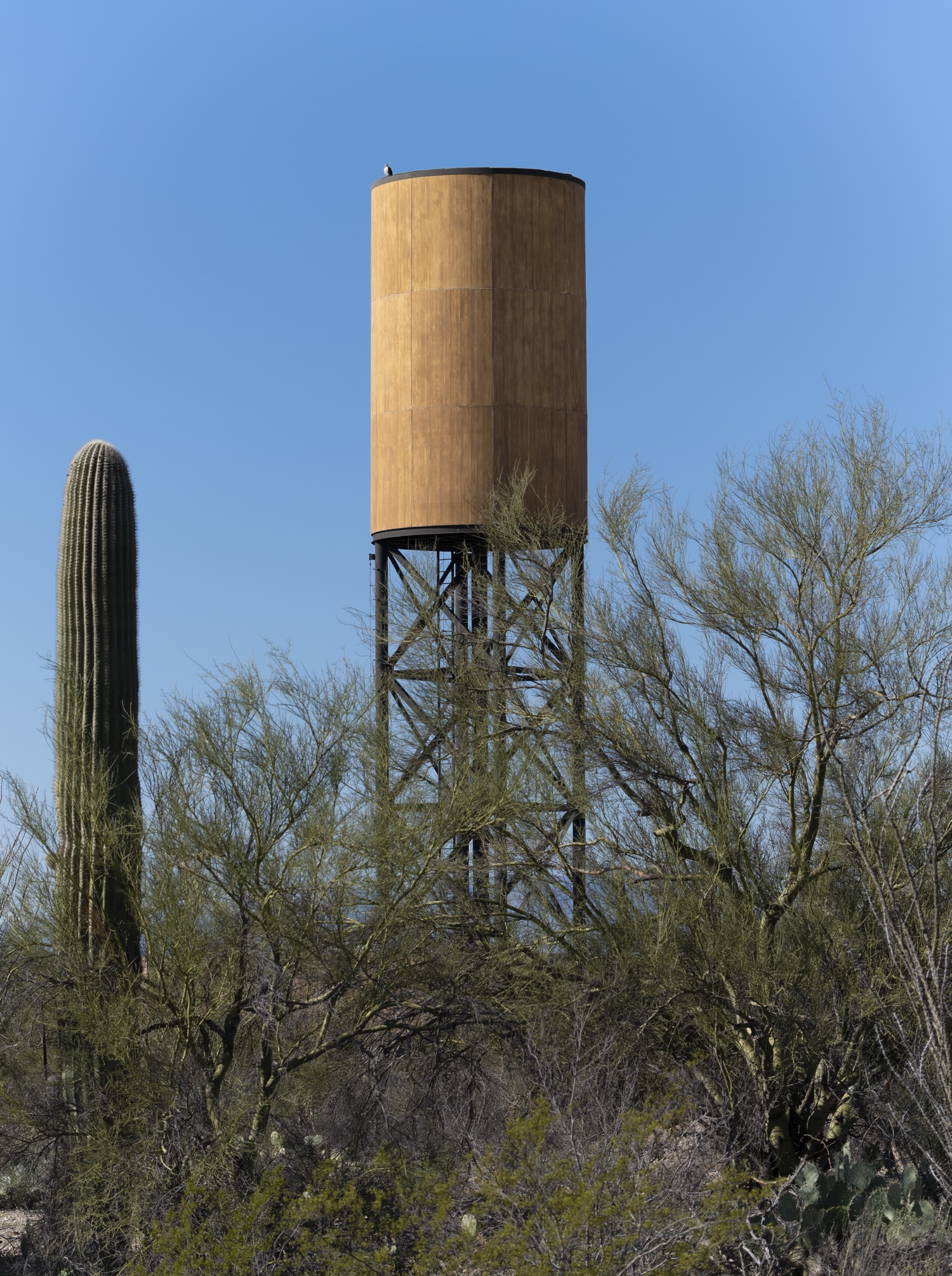 Water Tower photo 1