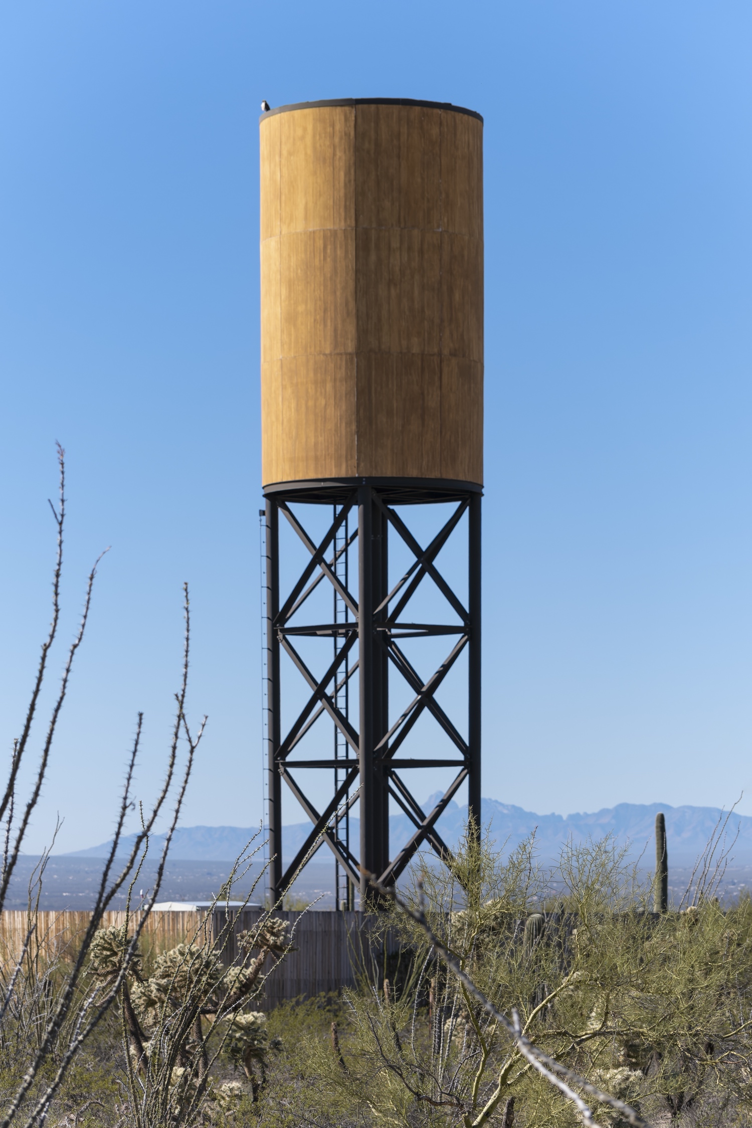 Water Tower photo 2
