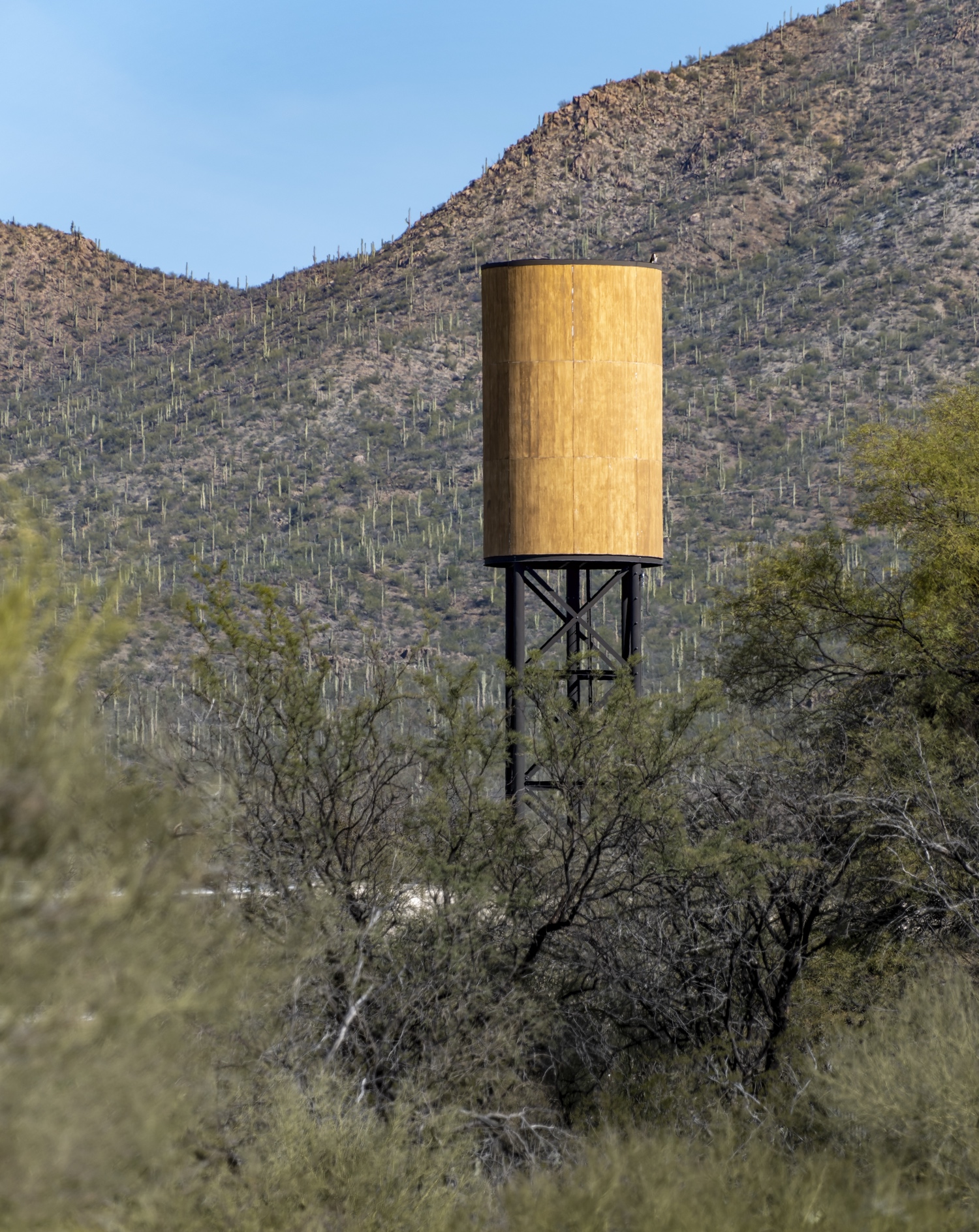 Water Tower photo 3