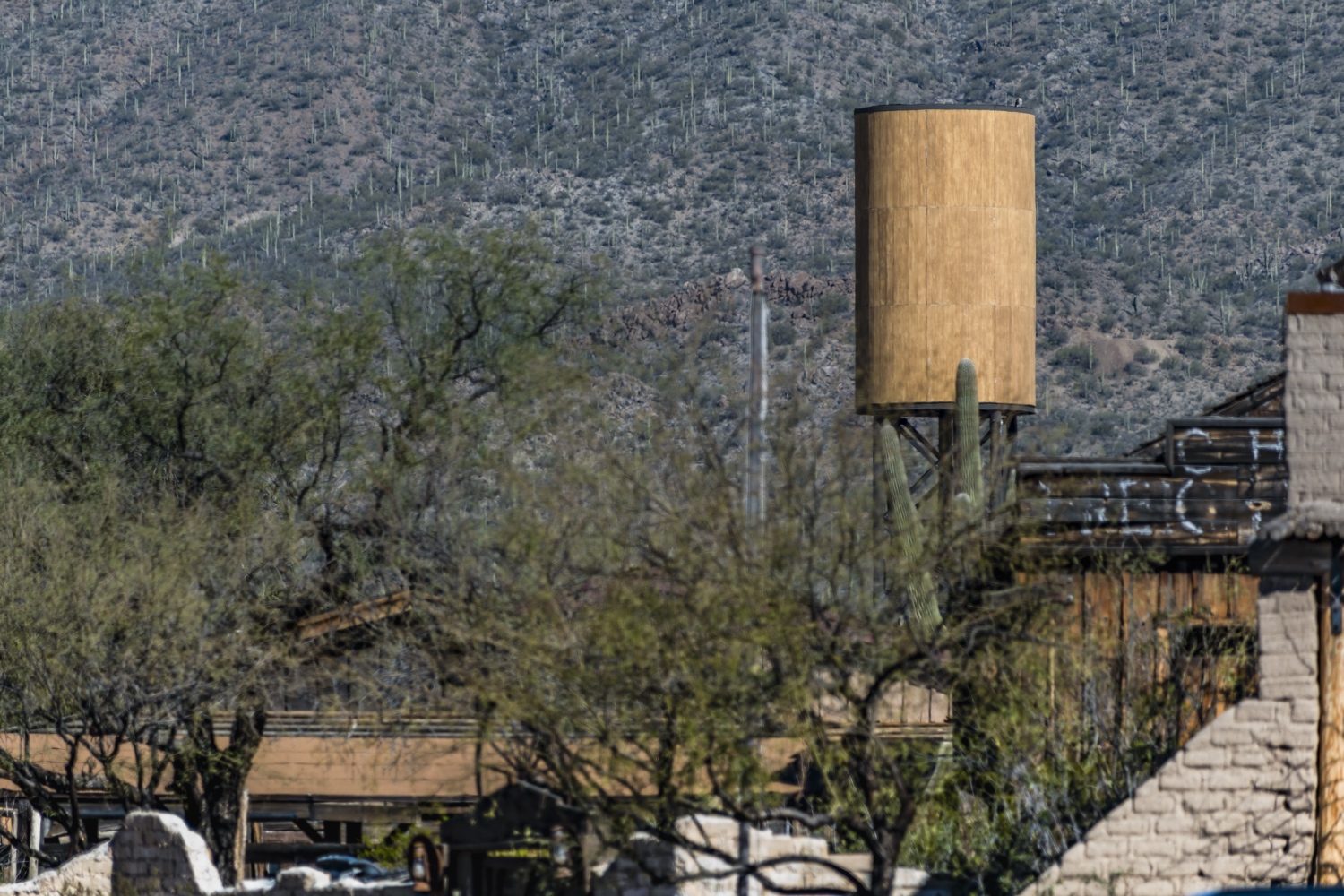 Water Tower photo 4