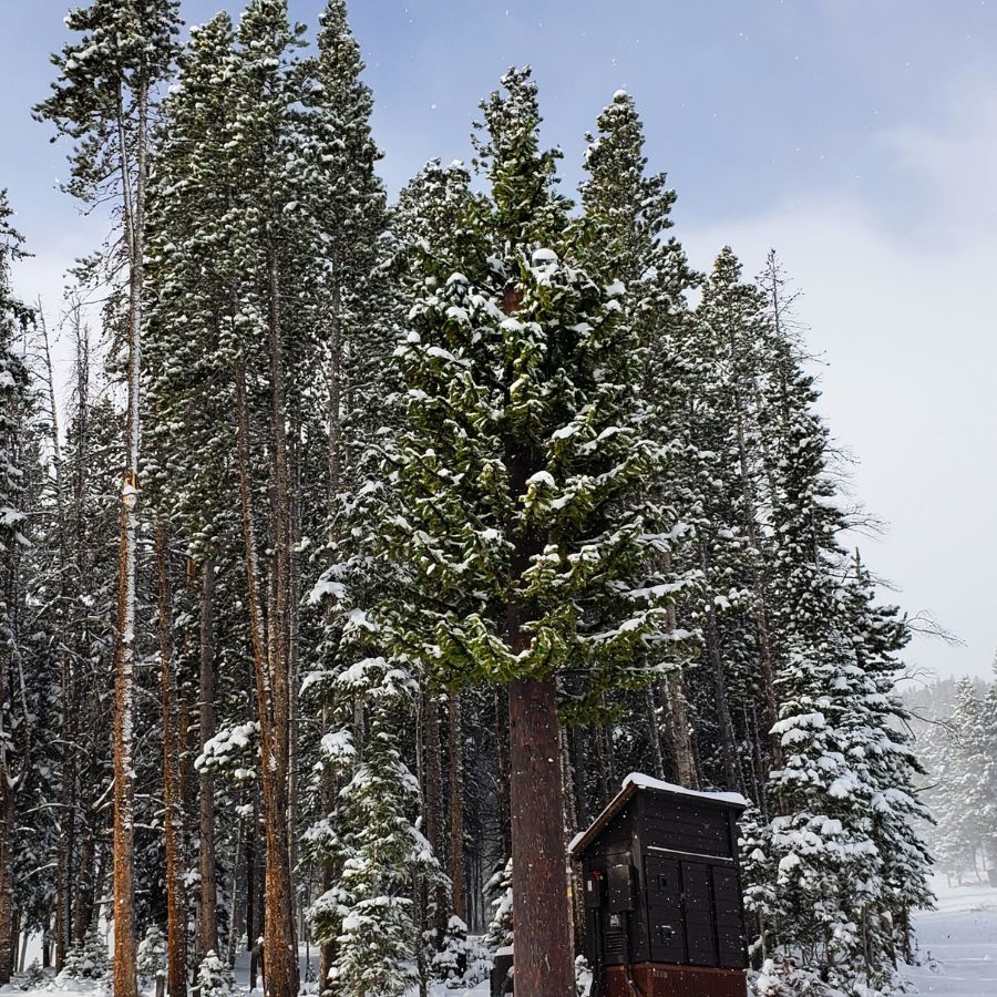 Concealment Solutions