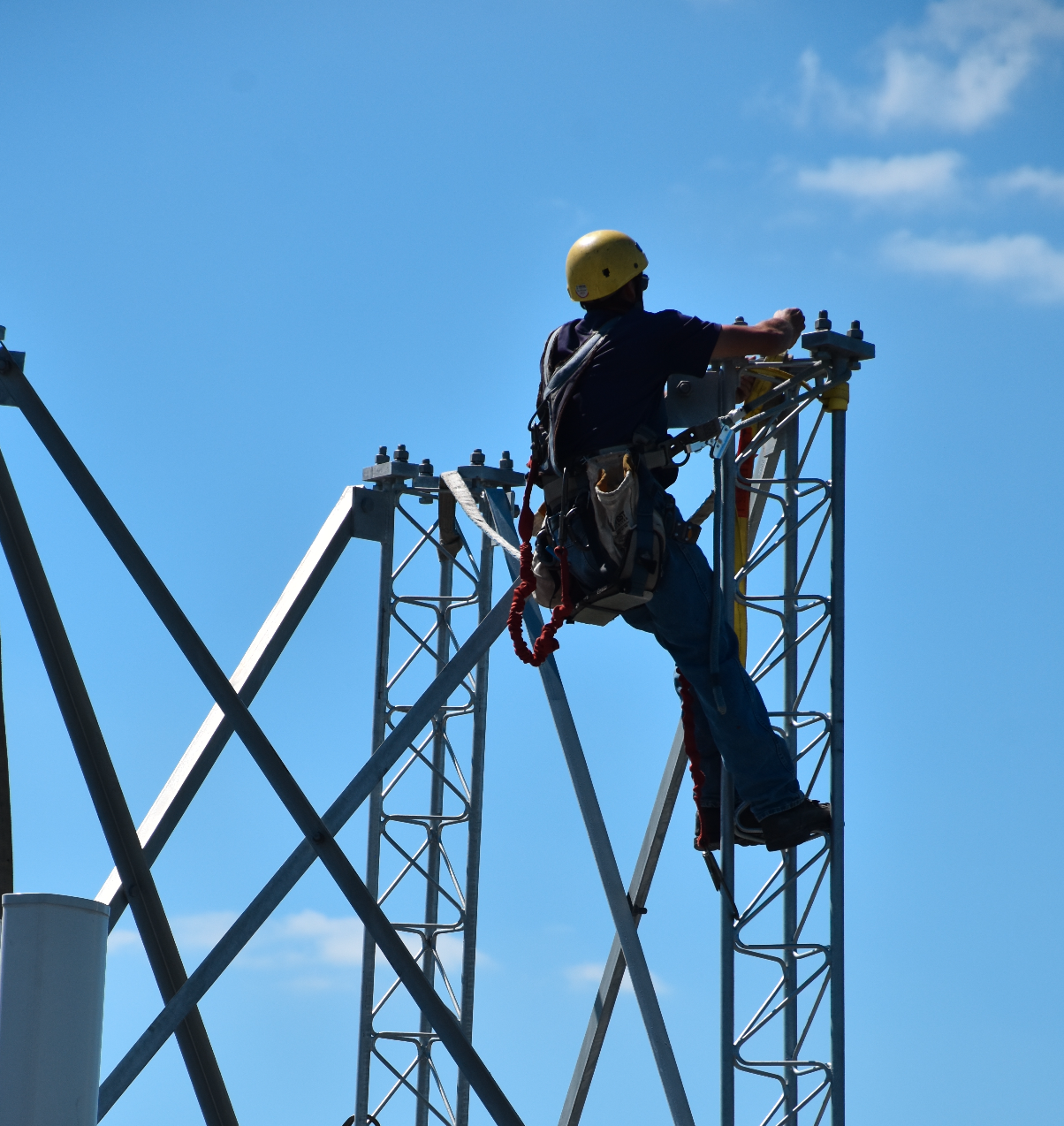 Fast Shipping and Logistics