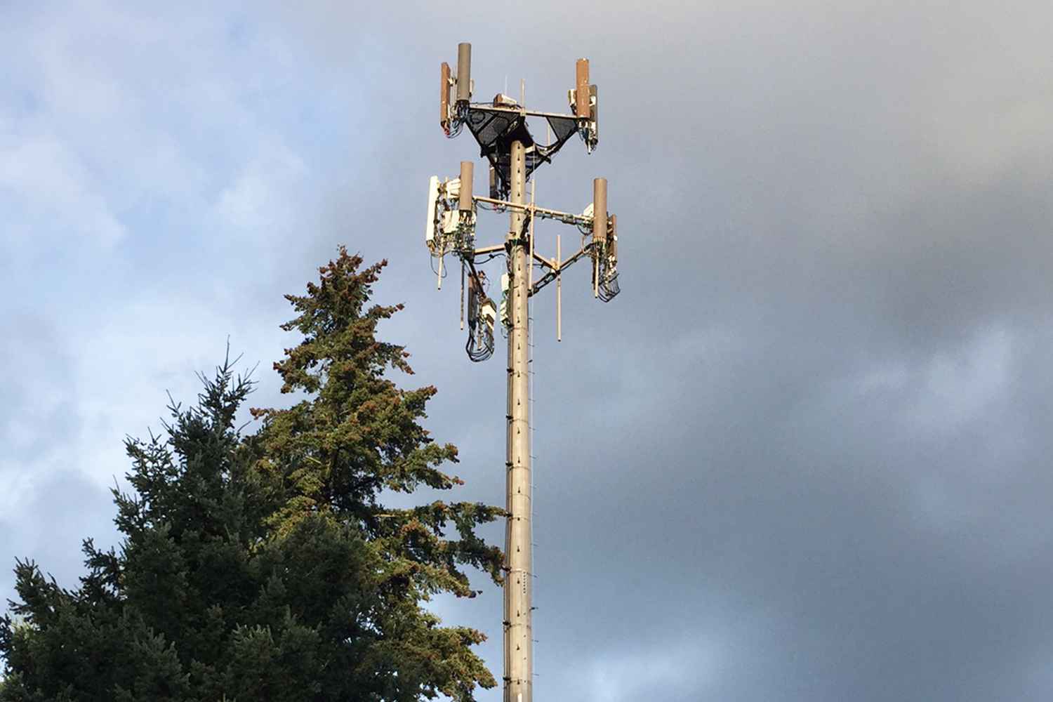 Olympus™ Towers - Monopoles