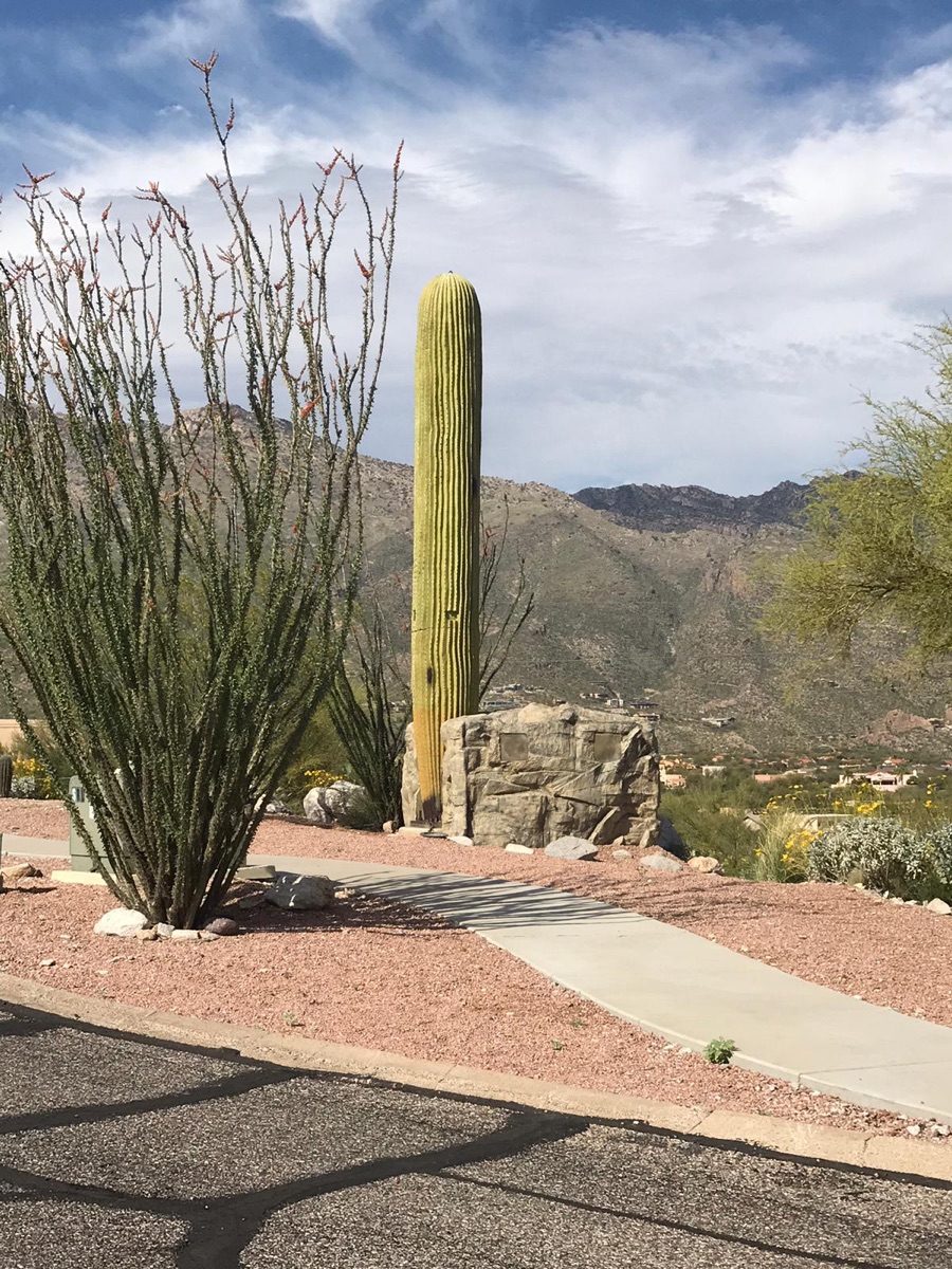 Larson™ Camouflage - Architectural Concealment