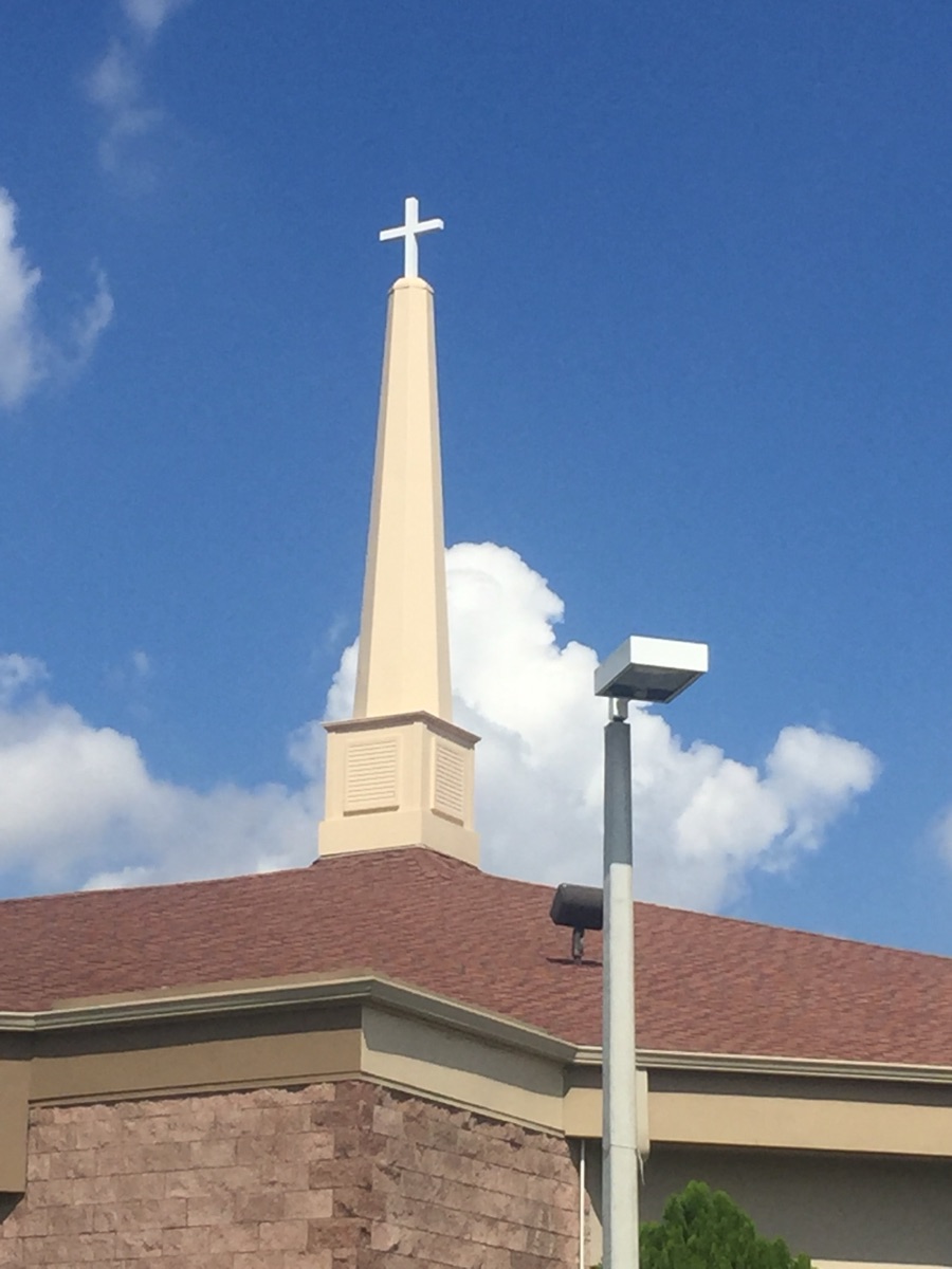 Larson™ Camouflage - Architectural Concealment