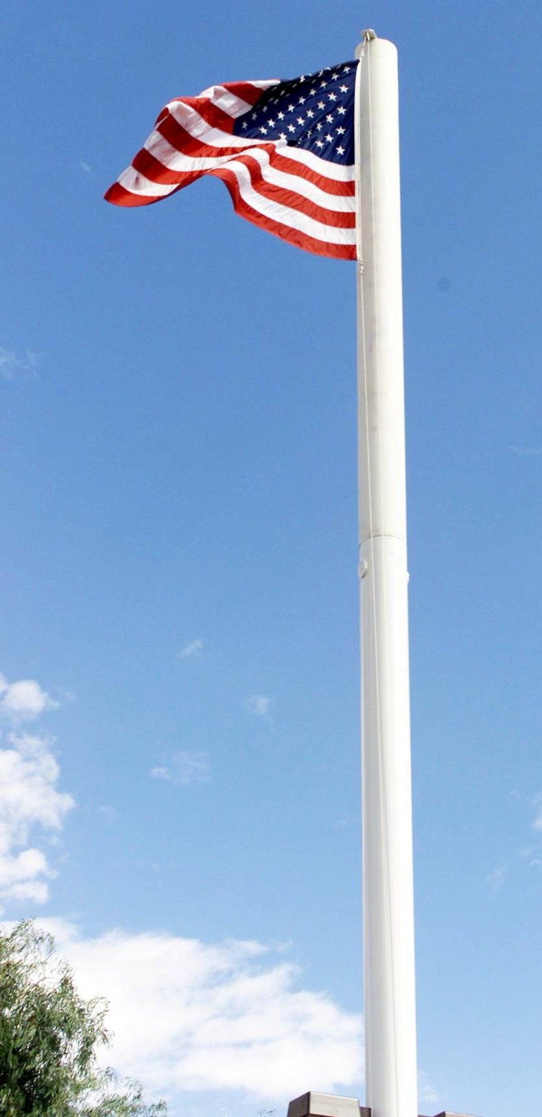 Larson™ Camouflage - Architectural Concealment