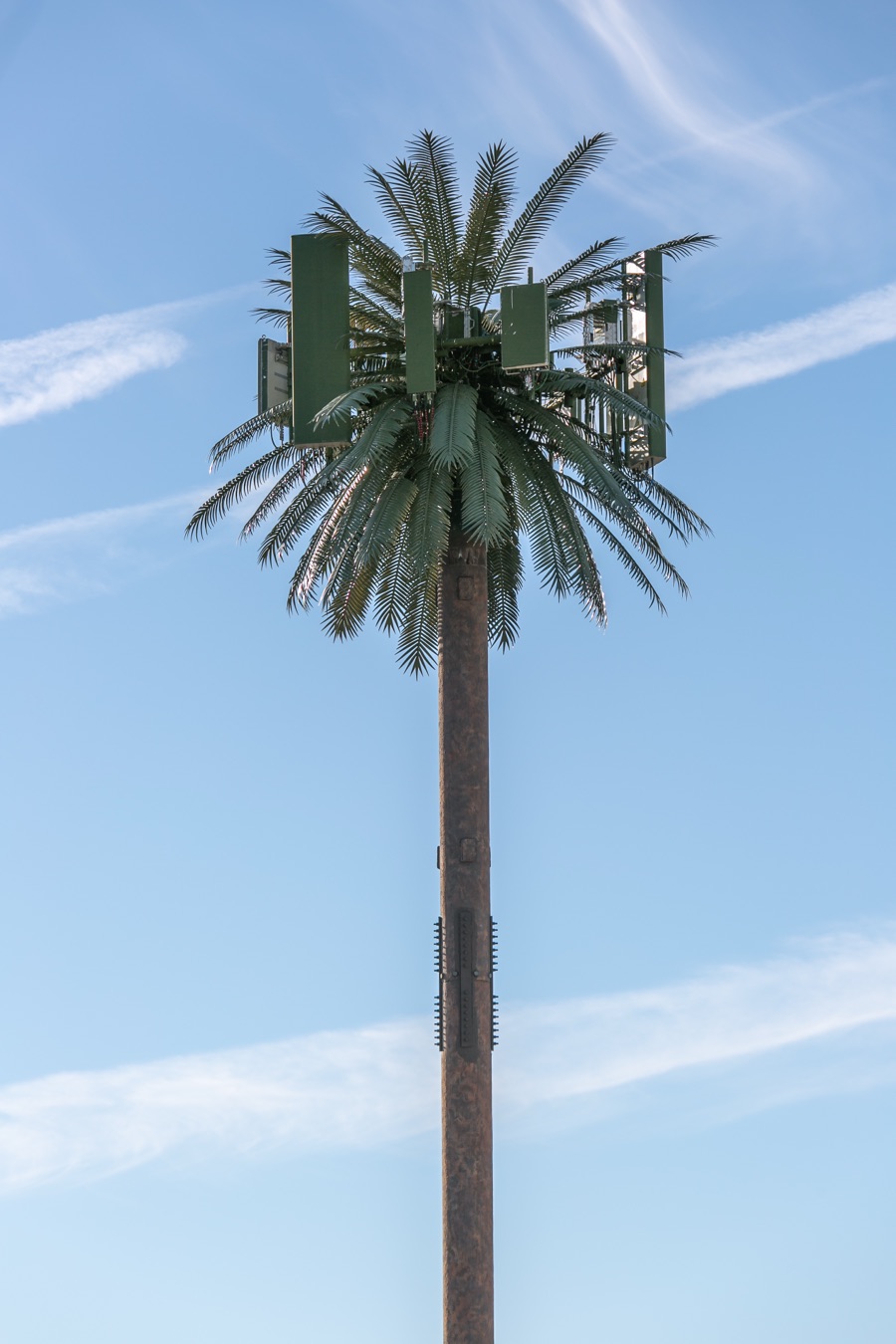 Larson™ Camouflage - Natural Concealment