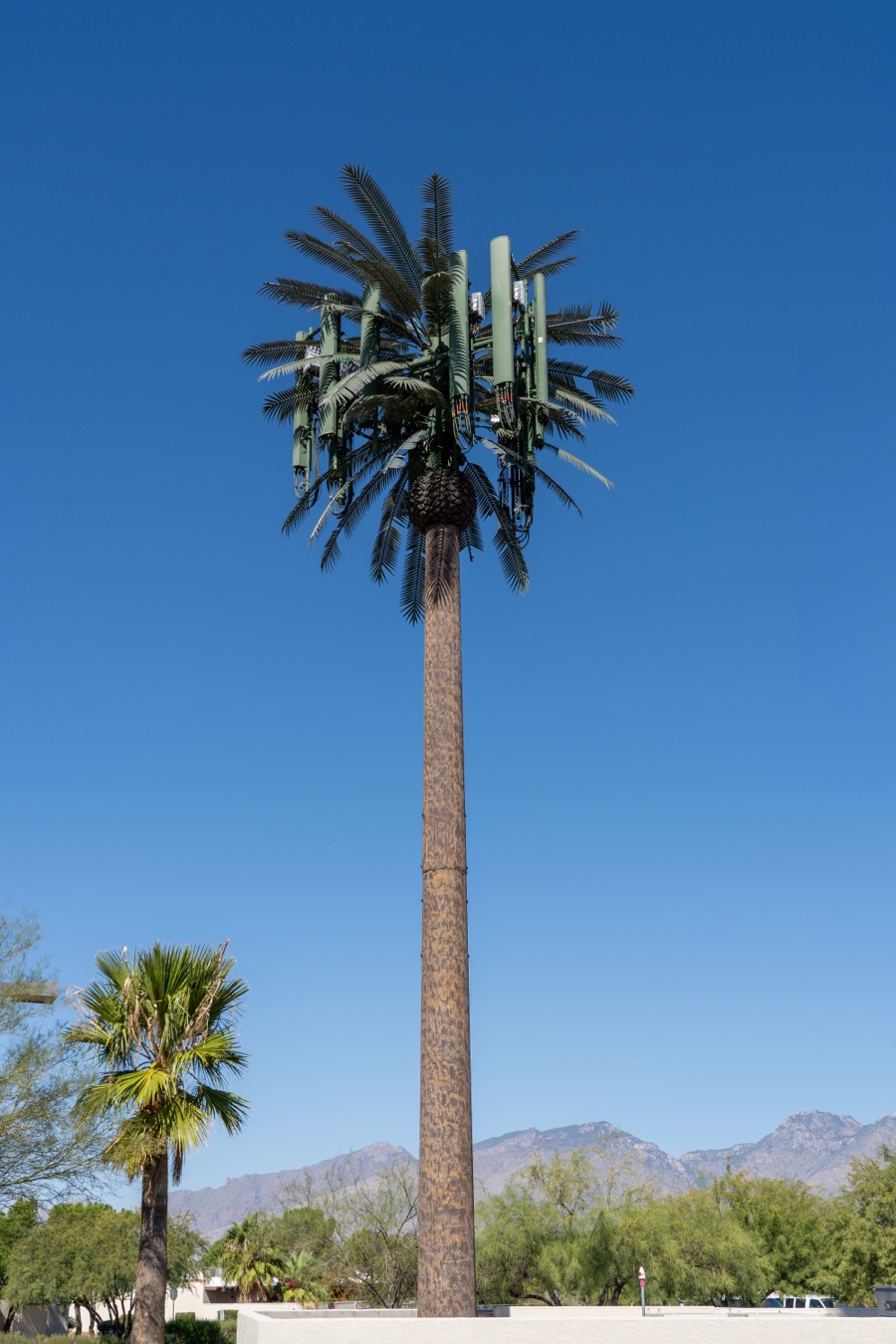 Larson™ Camouflage - Natural Concealment