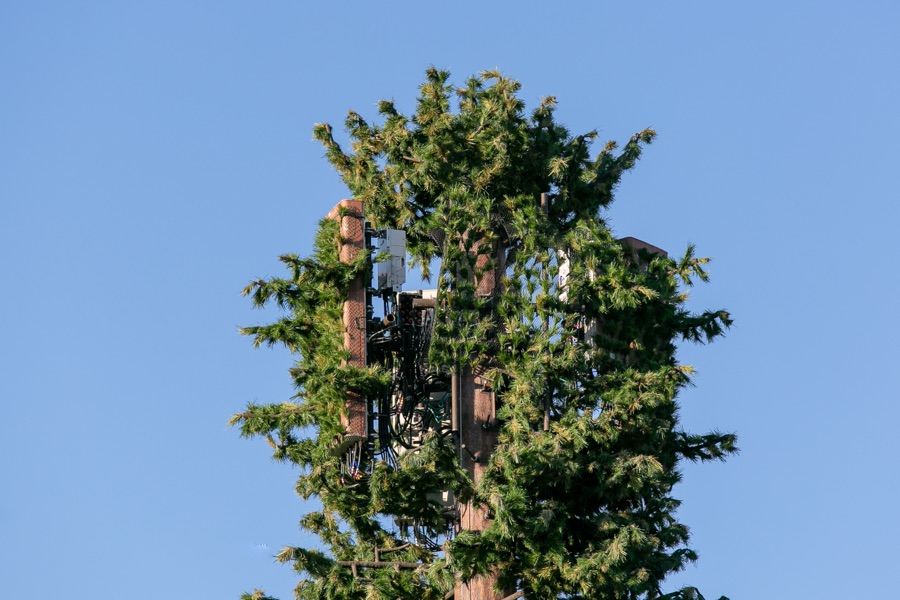 Larson™ Camouflage - Natural Concealment