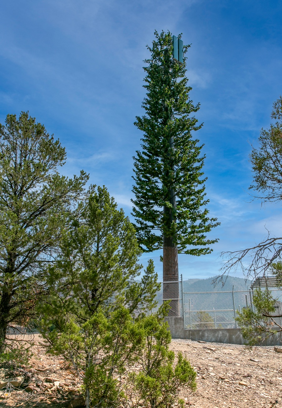 Larson™ Camouflage - Natural Concealment