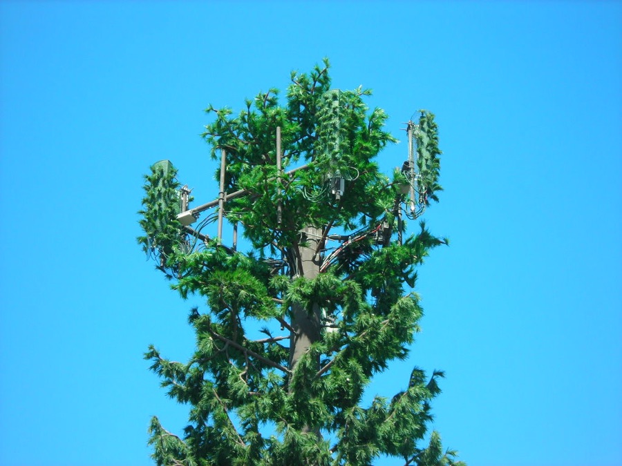 Larson™ Camouflage - Natural Concealment