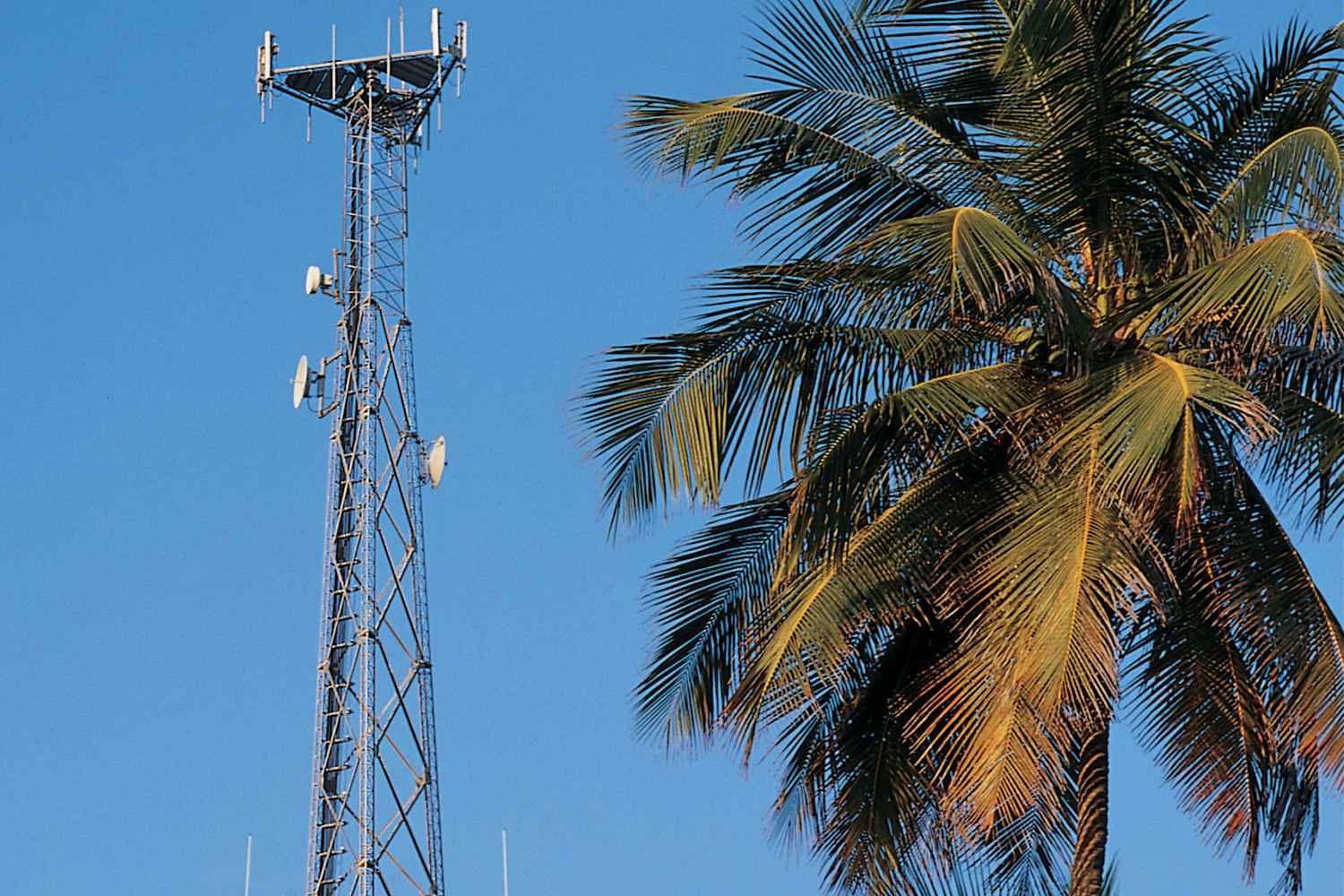 Olympus™ Towers - Towers