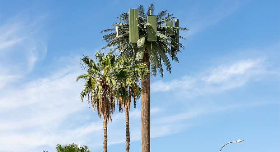 Natural & Architectural Concealment