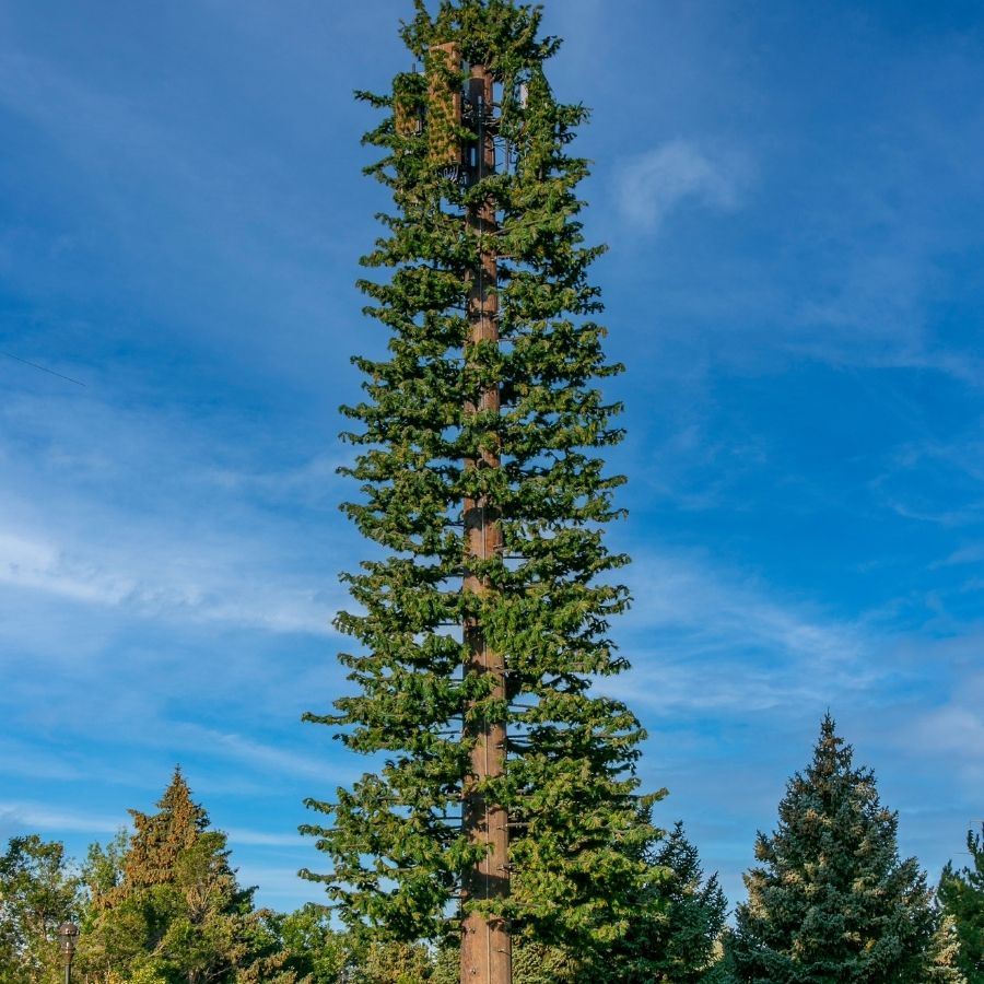 Engineering Excellence