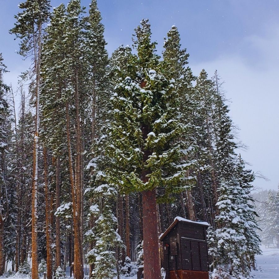 PIM Tree™ Solutions