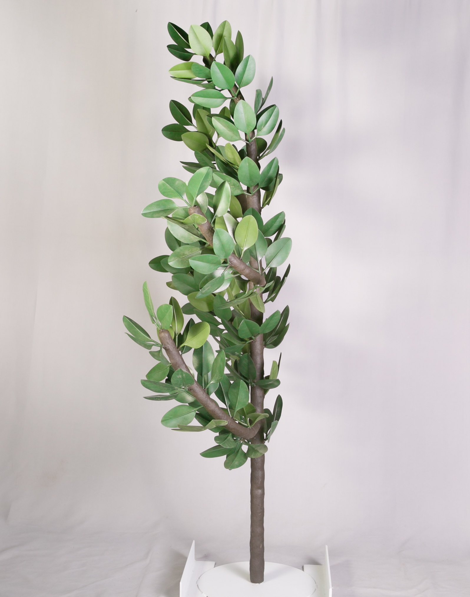 Elm Concealment Branch