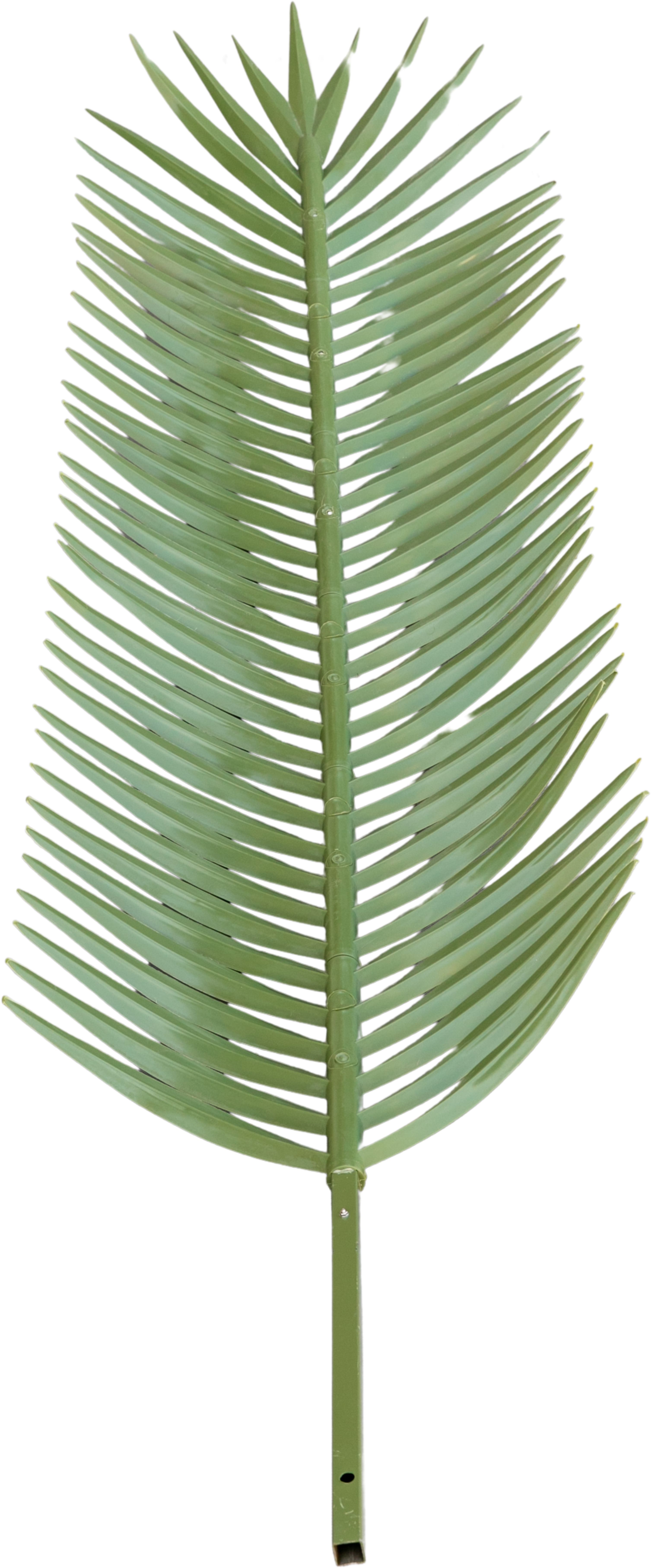 Palm Concealment Date Frond