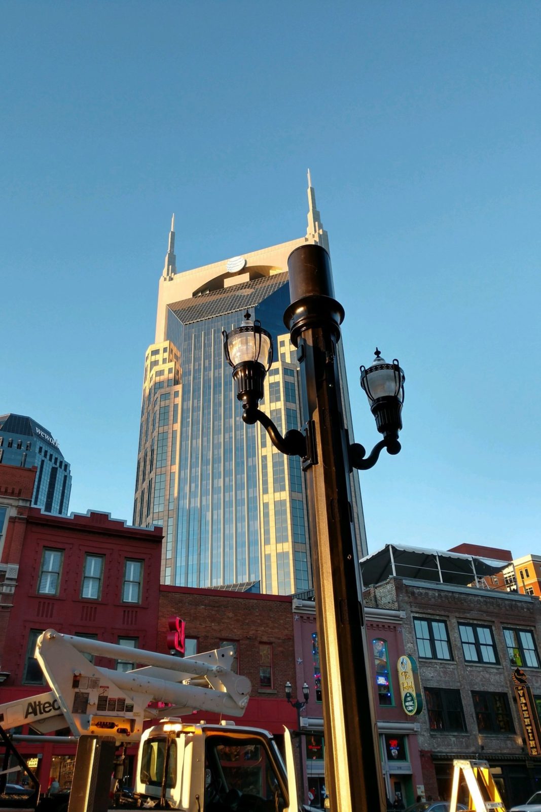 Concealment Poles image 6