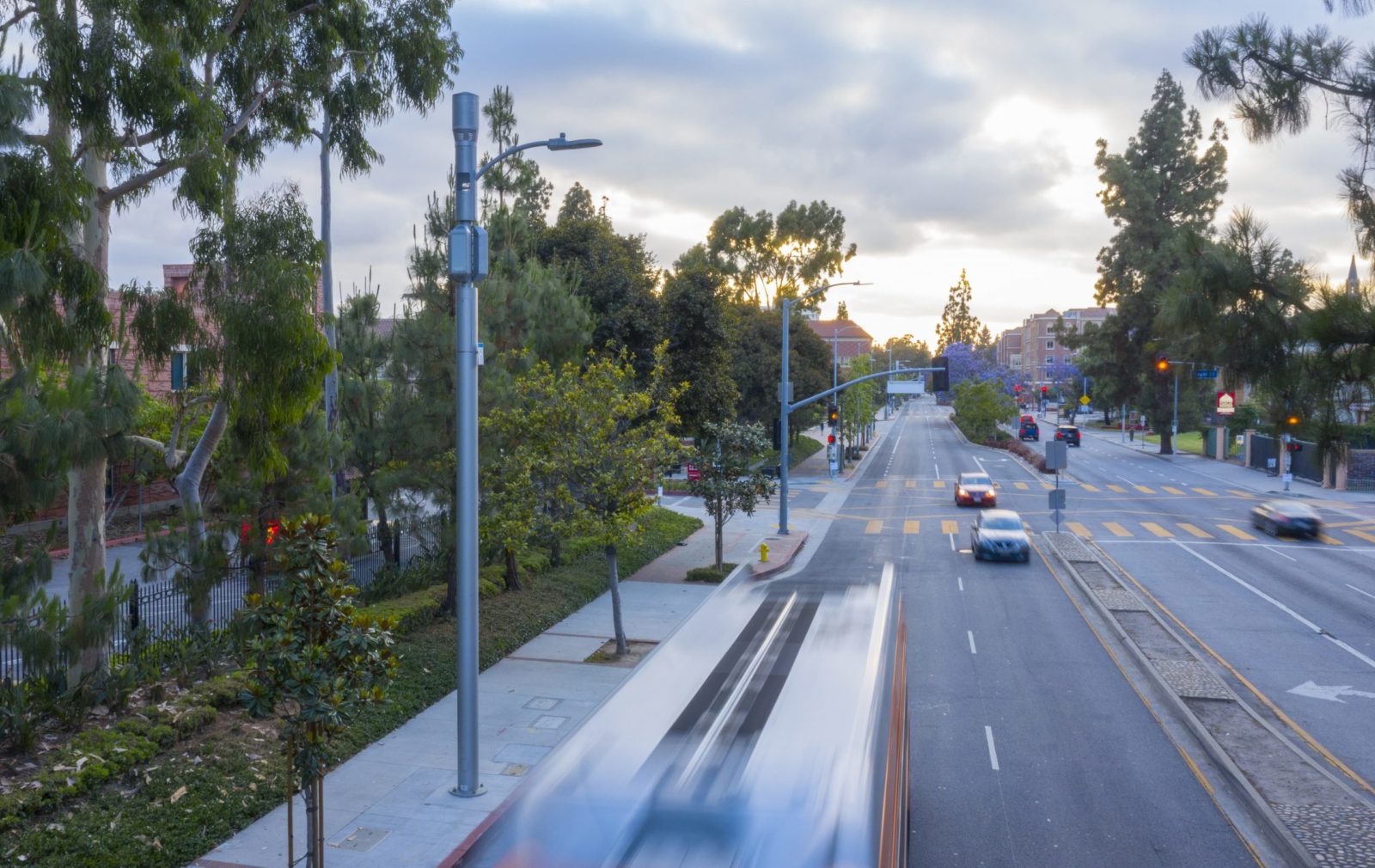 Concealment Poles image 8