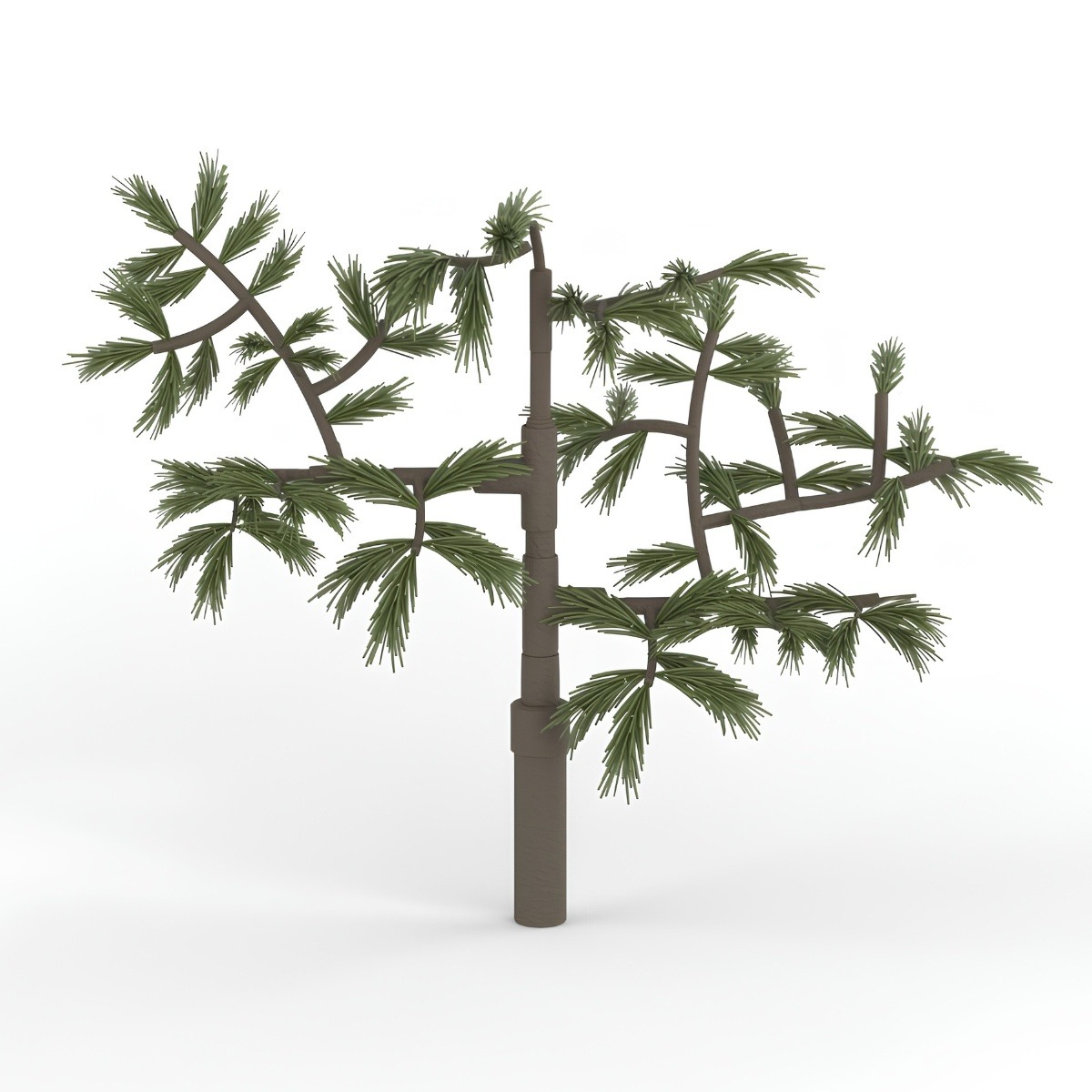 Pine Legacy Concealment Branch image 4