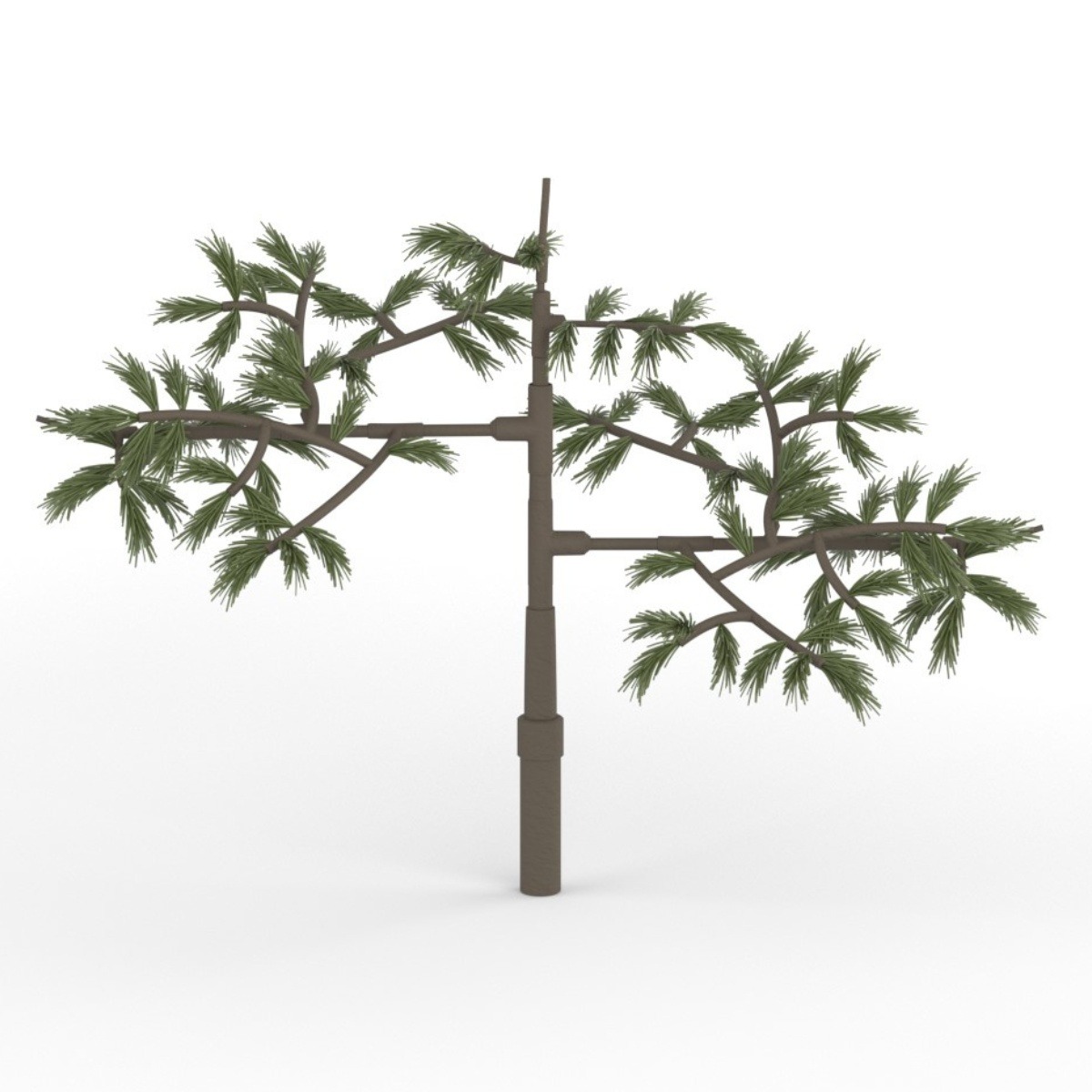 Pine Legacy Concealment Branch image 3