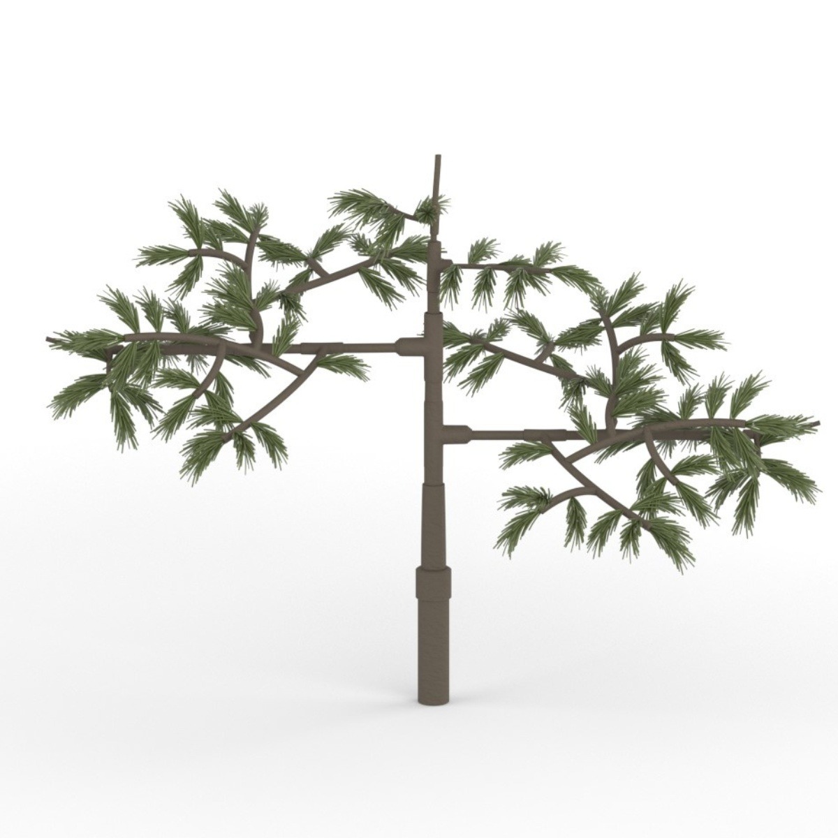 Pine Legacy Concealment Branch image 2