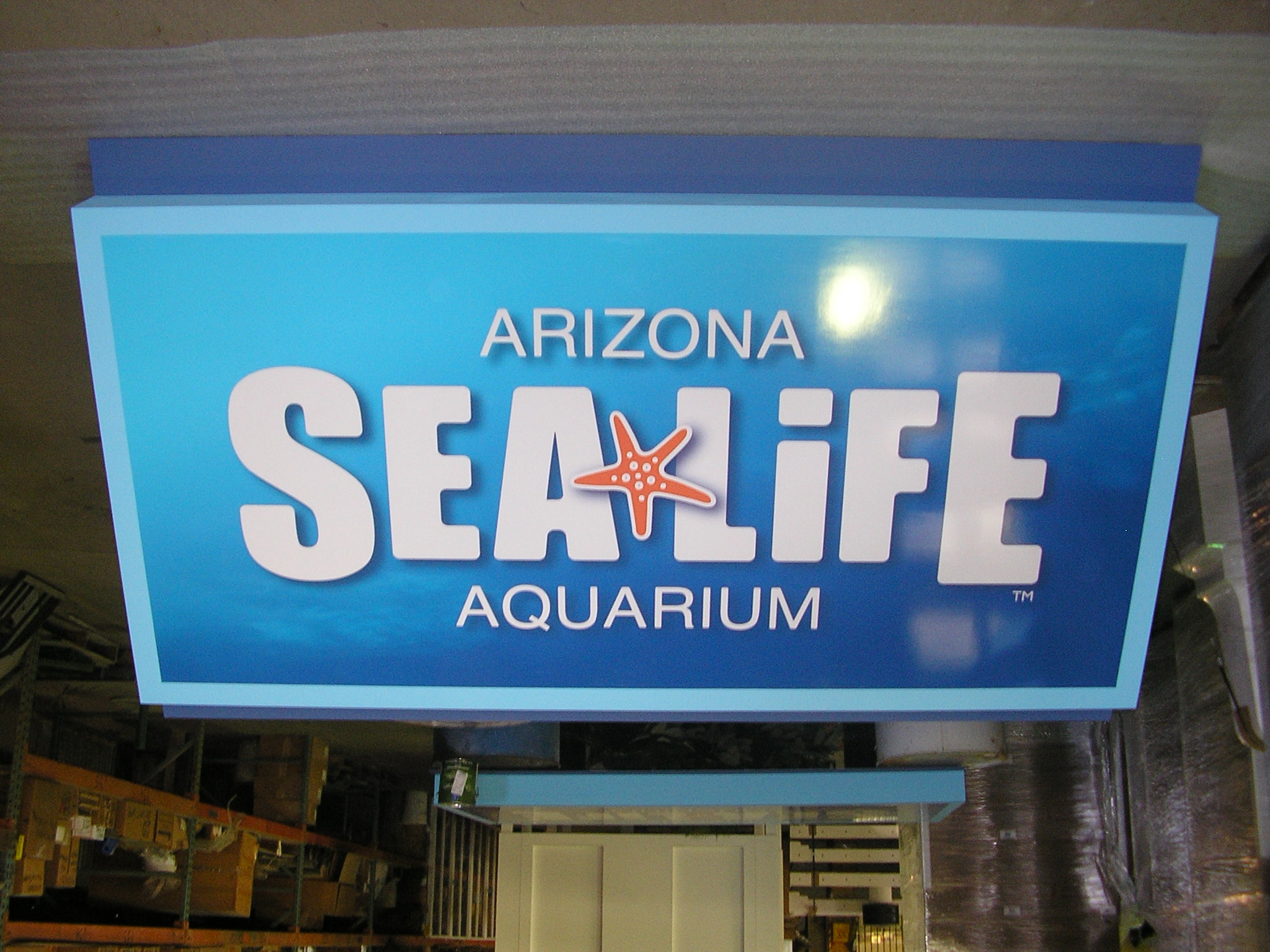 LCAP-1C1I0E00ESWB040801NVNFVW